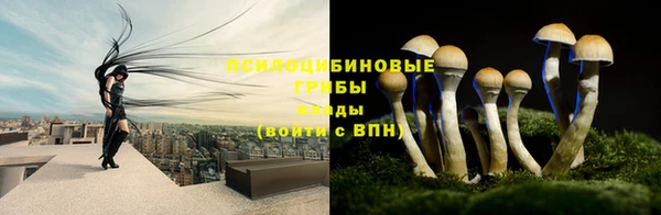 эйфоретик Горнозаводск