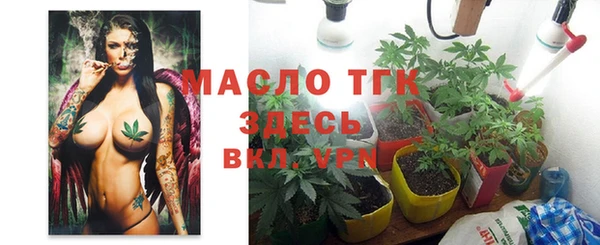меф Горняк